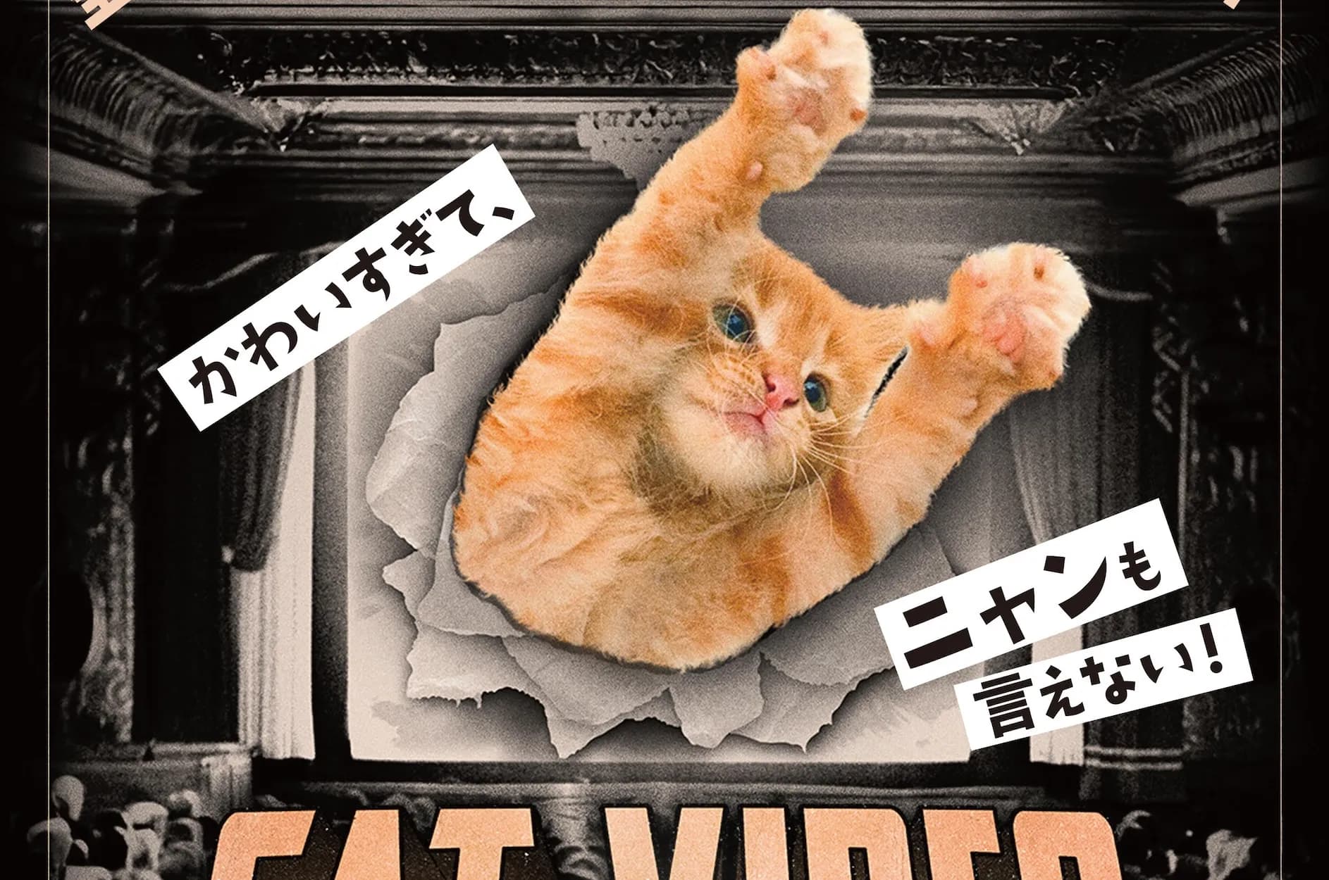 全猫好き必見!世界中の猫動画を“大量摂取”できる祭典「CatVideoFest」